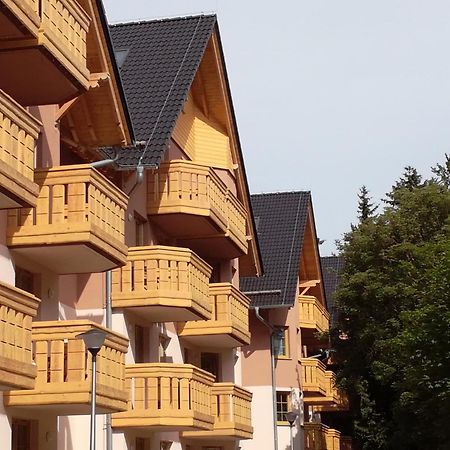 Апартаменти Apartament Podgorze 21 Шклярська Поремба Екстер'єр фото