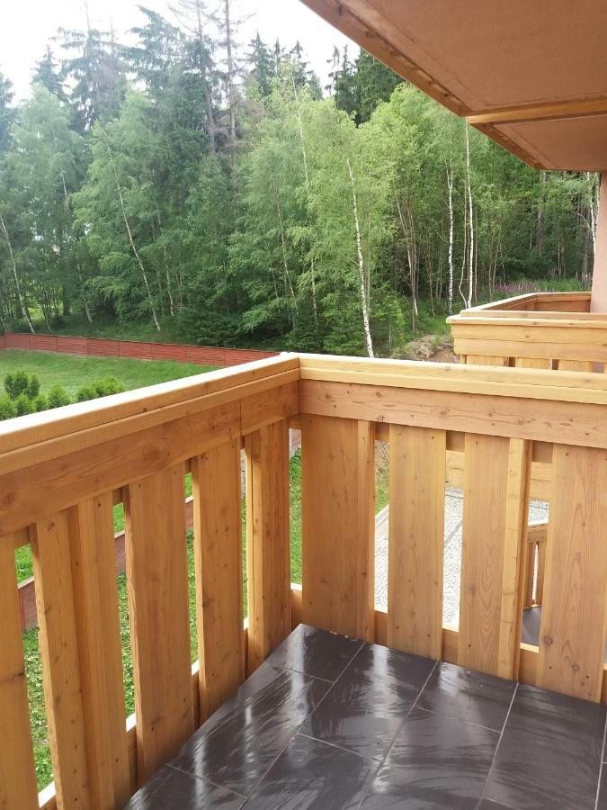 Апартаменти Apartament Podgorze 21 Шклярська Поремба Екстер'єр фото